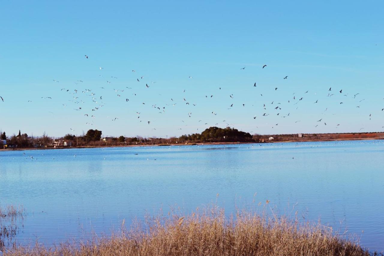 Albergue Los Patos Villafranca de los Caballeros Luaran gambar